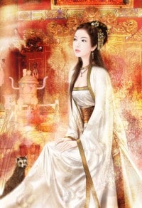 《美亩騎士(改寫)》