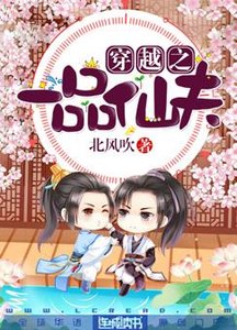 《穿越之一品仙夫》
