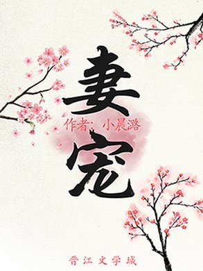 《妻寵(重生)》