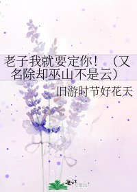 《老子我就要定你!(又名除卻巫山不是雲)》