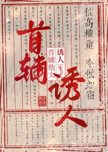 《清冷首輔懷了王爺的崽吼》